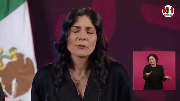 Liz Garc A Vilchis Y Su Resbal N En La Ma Anera De Amlo Hay Memes