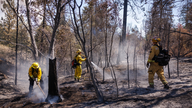 Miles De Evacuados En California Por Un Incendio Descontrolado Cerca De