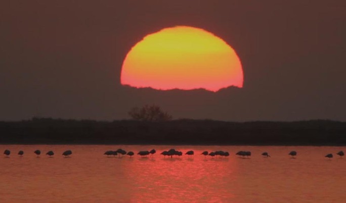Impresión, sol poniente | EL MUNDO