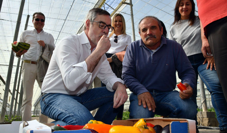 Resultado de imagen de Ciudadanos exige la dimisiÃ³n de Rosa MarÃ­a Mateo y los trabajadores de RTVE vuelven a criticar a la direcciÃ³n