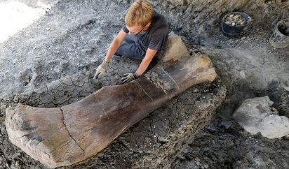 Dos metros y 400 kilos: descubren en Francia el monumental hueso de un  dinosaurio de 50 toneladas | Ciencia