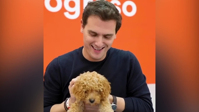 Perro De Albert Rivera