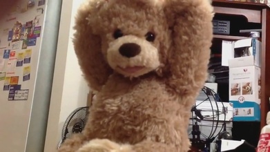Osito de hot sale peluche tierno