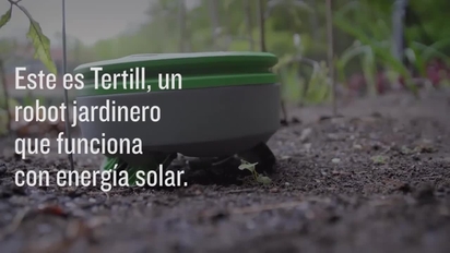 Roomba jardin sales