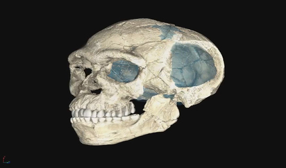 Los Fosiles Mas Antiguos De Homo Sapiens Revolucionan El Origen