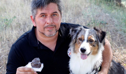 son los pastores australianos huelen