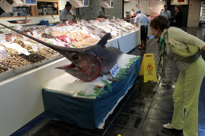 El Peligro Del Mercurio En El Pescado Cuanto Atun Puedo Comer A La Semana Boticaria Garcia