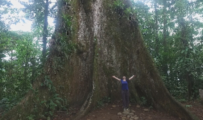 Costa Rica, naturaleza al alcance de la mano