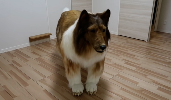Se convierte en perro gracias a un traje hiperrealista de 14.600 euros