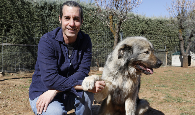 es normal tener miedo a los perros