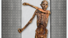 Ötzi, el hombre de hielo de Los Alpes, era calvo y tenía la piel muy oscura