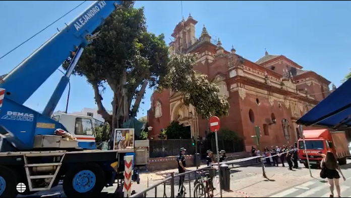 El alcalde de Sevilla, aliado con la Iglesia para talar un árbol centenario  en Triana | Andalucía