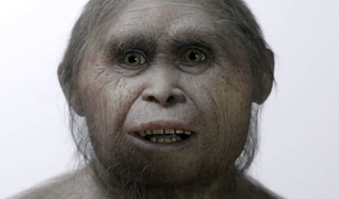 Nuevos fósiles confirman que el 'hobbit' de Flores era una especie humana  enana | Ciencia | EL MUNDO