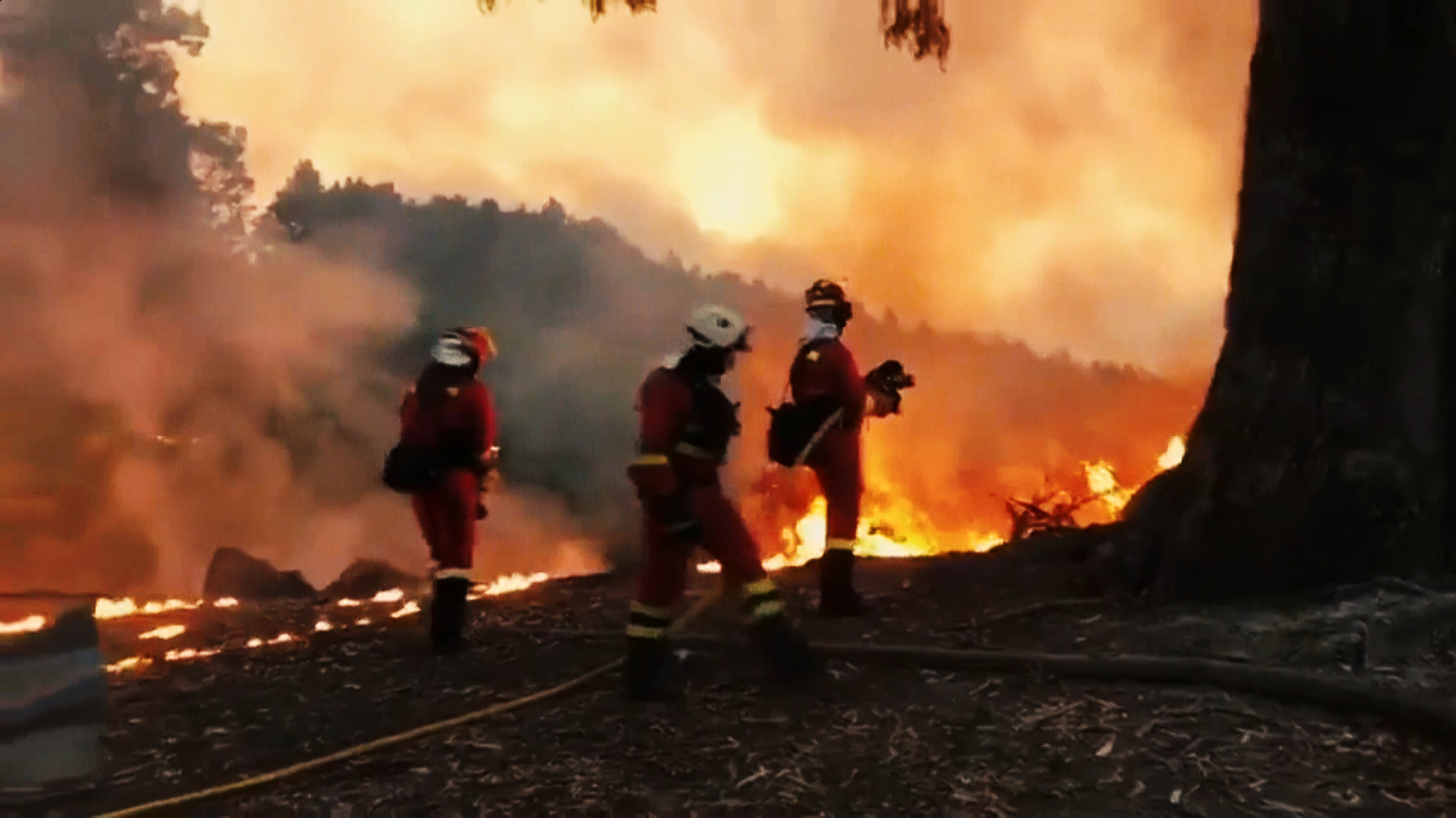 Cadera cielo herir Gran Canaria: el fuego entra en el Parque Natural de Tamadaba tras devastar  más de 1.500 hectáreas | España