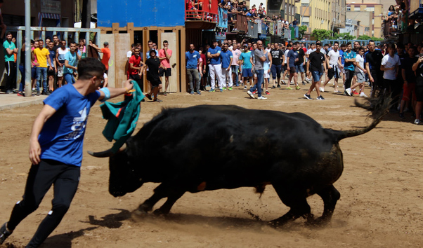 videos.elmundo.es