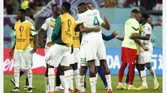 Resumen Senegal - Ecuador del Mundial de Qatar 2022. GOL MUNDIAL (Vídeo) / EFE (Foto)