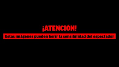 Coronavirus Mma El Actor Luca Franzese Se Queda Atrapado Con El Cadaver De Su Hermana Muerta Por Coronavirus Italia Nos Ha Abandonado Marca Com