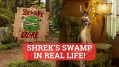 Airbnb made Shrek's swamp look just like the movie