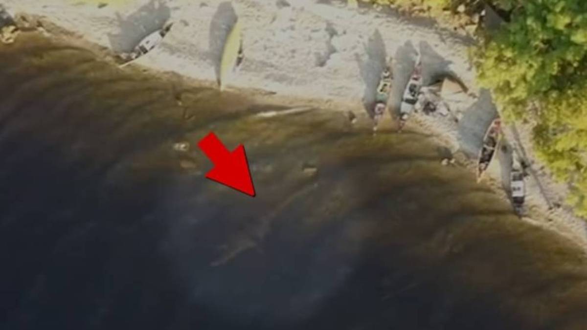 Nessie: El monstruo del Lago Ness, grabado desde el aire con un dron... o  eso parece | Marca