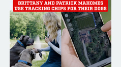Brittany and Patrick Mahomes install tracking chips in their dogs and share video