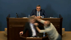 Un diputado golpea al lder de la mayora parlamentaria de Georgia