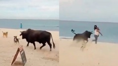 Toro es captado en las playas de Los Cabos y un turista sufre las consecuencias