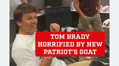 Tom Brady horrified by Patriot's new GOAT