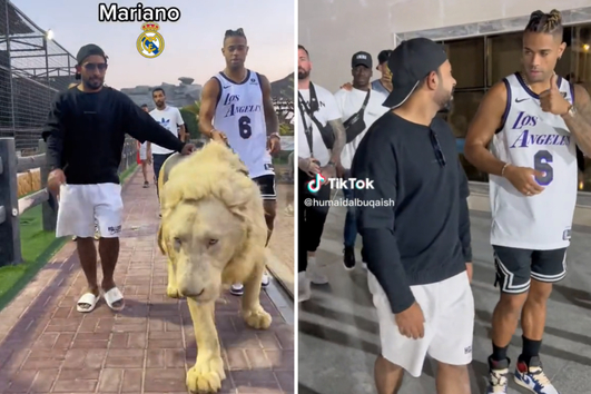 La impactante imagen de Mariano paseando un león