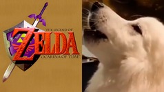 La viral versi�n "perruna" de Legend of Zelda: Ocarina of Time