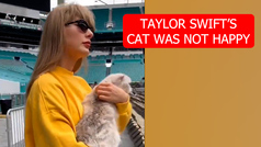 Taylor Swift's cat seems unhappy at Miami Eras Tour Concert with a "whatever face"