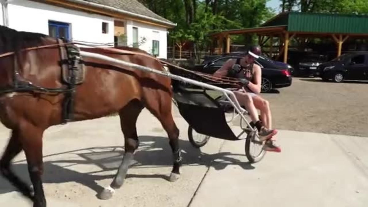 carro de caballos