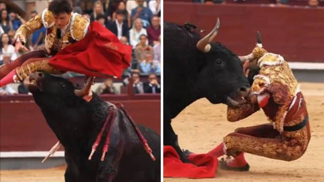 Dramática cogida de Roca Rey en Las Ventas