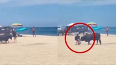 Un toro suelto embiste de manera brutal a una mujer en la playa