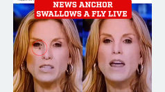 A news anchor swallows a fly live and continues as if nothing had happened