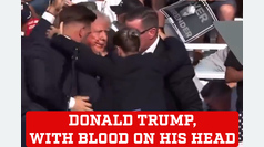 Donald Trump, with blood on his head, rushes out of a rally surrounded by his Secret Service