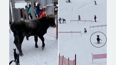 Un toro siembra el pánico en una estación de esquí