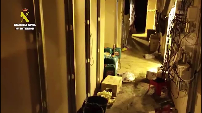 La Guardia Civil encuentra más de 9.000 plantas de marihuana en una nave con un túnel de 15 metros