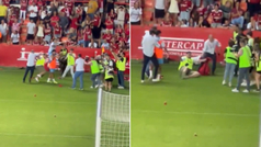 Un fotgrafo denuncia una agresin de la seguridad del Nstic tras el gol del ascenso del Mlaga