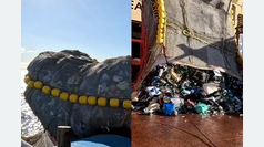 This is the amount of garbage in the ocean in an area similar to 85,000 soccer fields