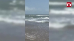 Alertan de cuatro ataques de tiburones en playas de Texas y Florida