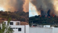 Jalisco: Se registra impresionante incendio forestal en el Bosque 'La Primavera' en Zapopan