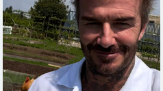 Como todo un hombre de campo, David Beckham presume su vida en una granja