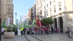 Concentracin sindical por la sanidad andaluza en Sevilla