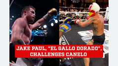 Jake Paul forcefully challenges Canelo Alvarez: "You can run, but you can't hide"