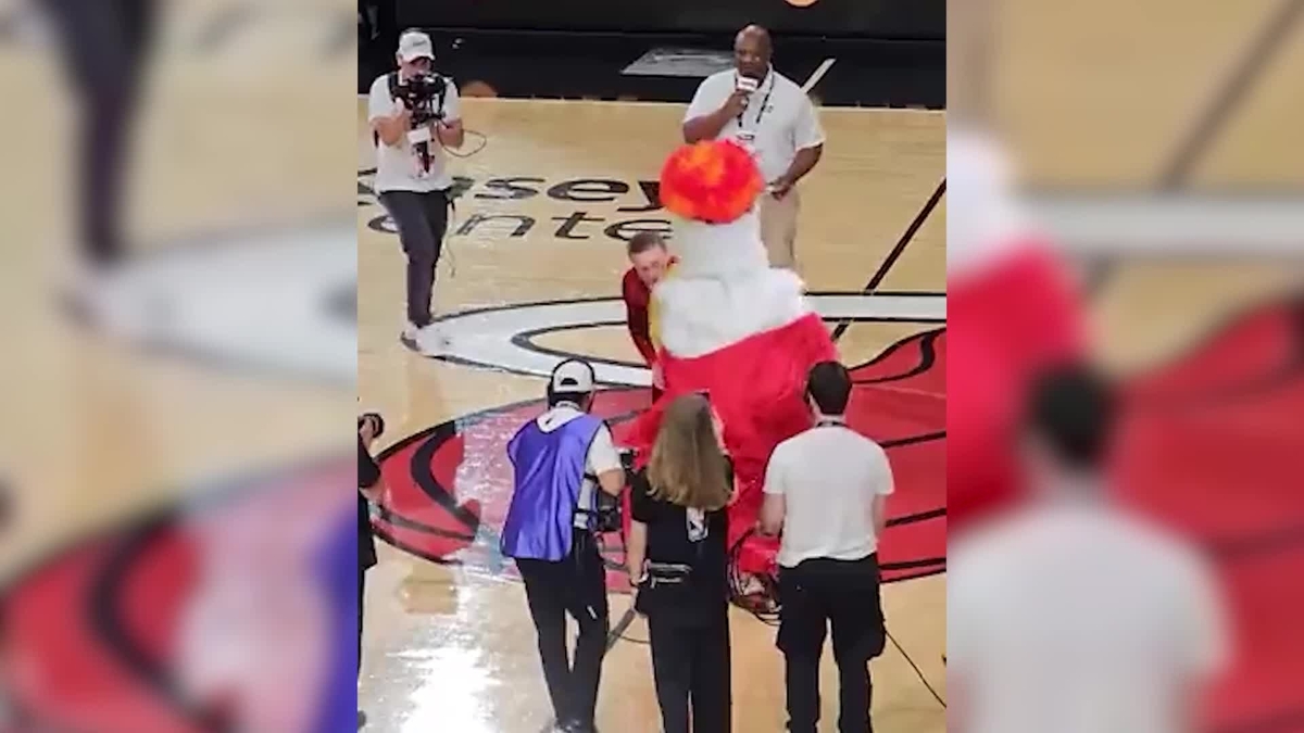Conor McGregor sent the Heat mascot to the emergency room with two punches