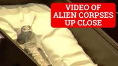 Staggering new close-up footage of alien corpses comes to light