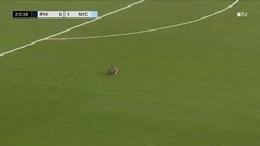 Raccoon shows its prowess at an MLS game: impossible to catch!