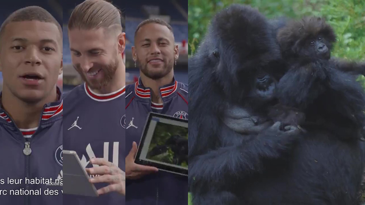 Mbappe, Ramos, Neymar, Di Maria and Marquinhos christen three gorillas