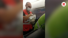 Mujer da a luz en pleno vuelo y aterrizan de emergencia en Cancún