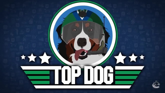 NHL: Top Dog Race: organizan una carrera de perros sobre hielo para ...